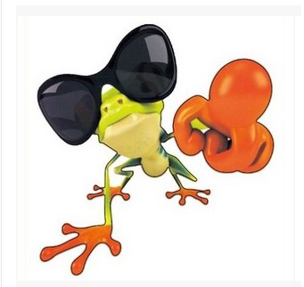  Stick 3D Frog Glasses Funny Car Auto Stickers Boat Vinyl Decal DIY New